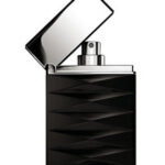 Armani Attitude - Decant - Giorgio Armani