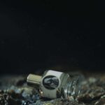 OLM - Decant - Zoologist Perfumes - Imagen 2