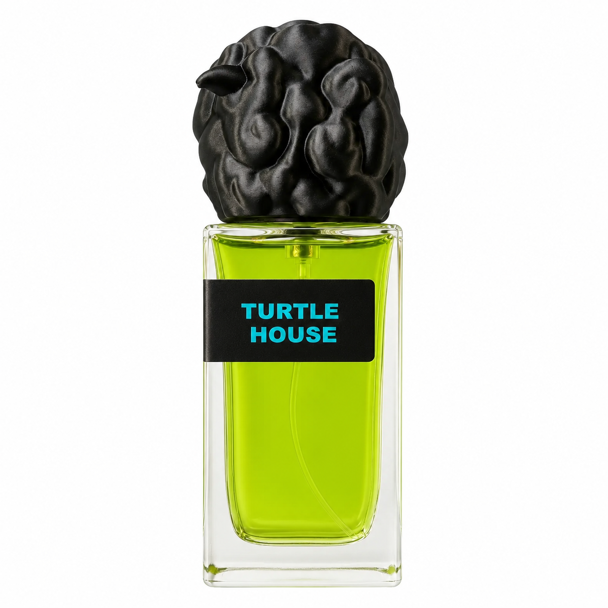 b6c436e0-e422-4a9b-a6b6-2e7dcc722059 Turtle House - Decant - Pisello - Imagen 1